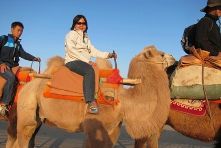 Camel-trekking. Awesome, but nerve-wrecking at first try.