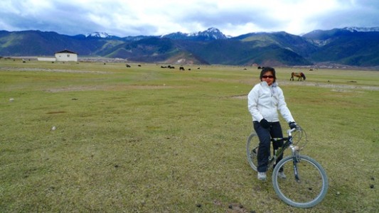 Cycling through the Napa Hai grasslands in Shangri-la, Yunnan. Wild yaks roaming behind me.