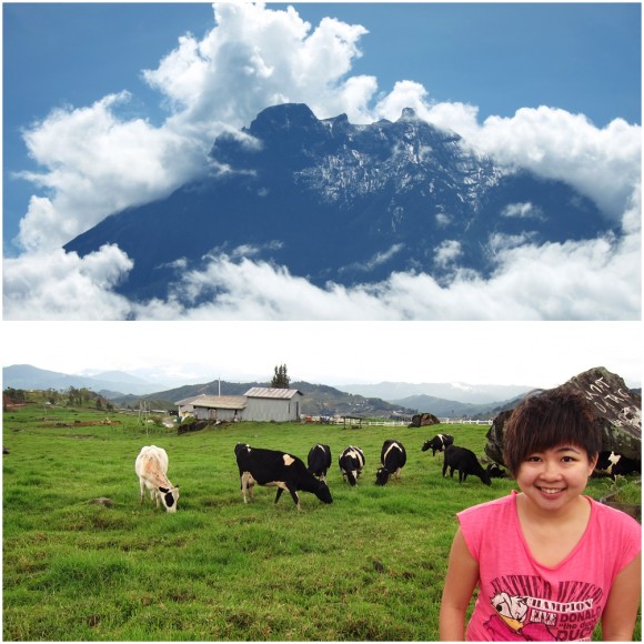 Mount Kinabalu and Desa Dairy Farm in Sabah